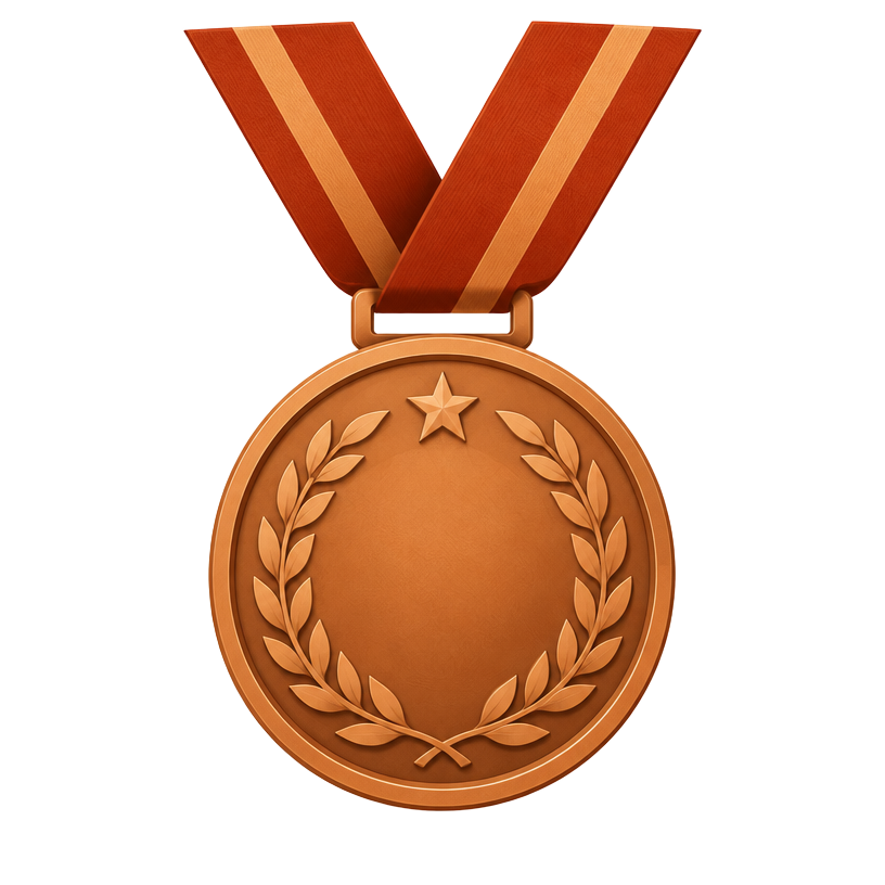 Illustration of a bronze medal