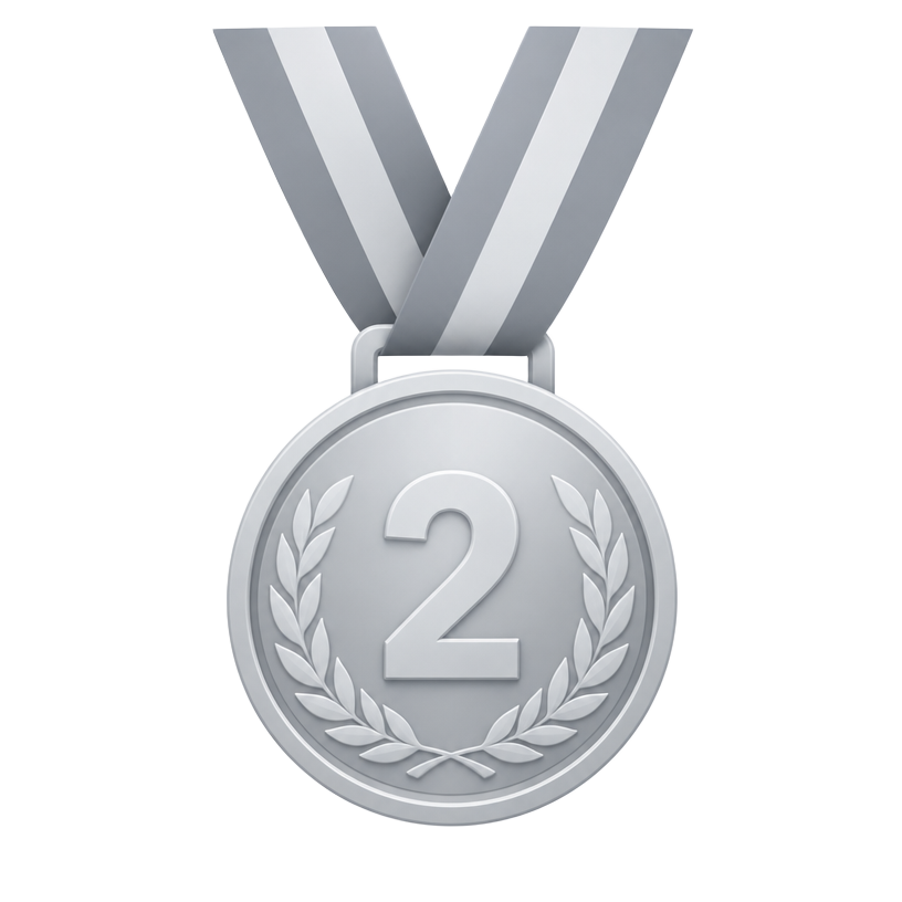 Illustration of a silver medal